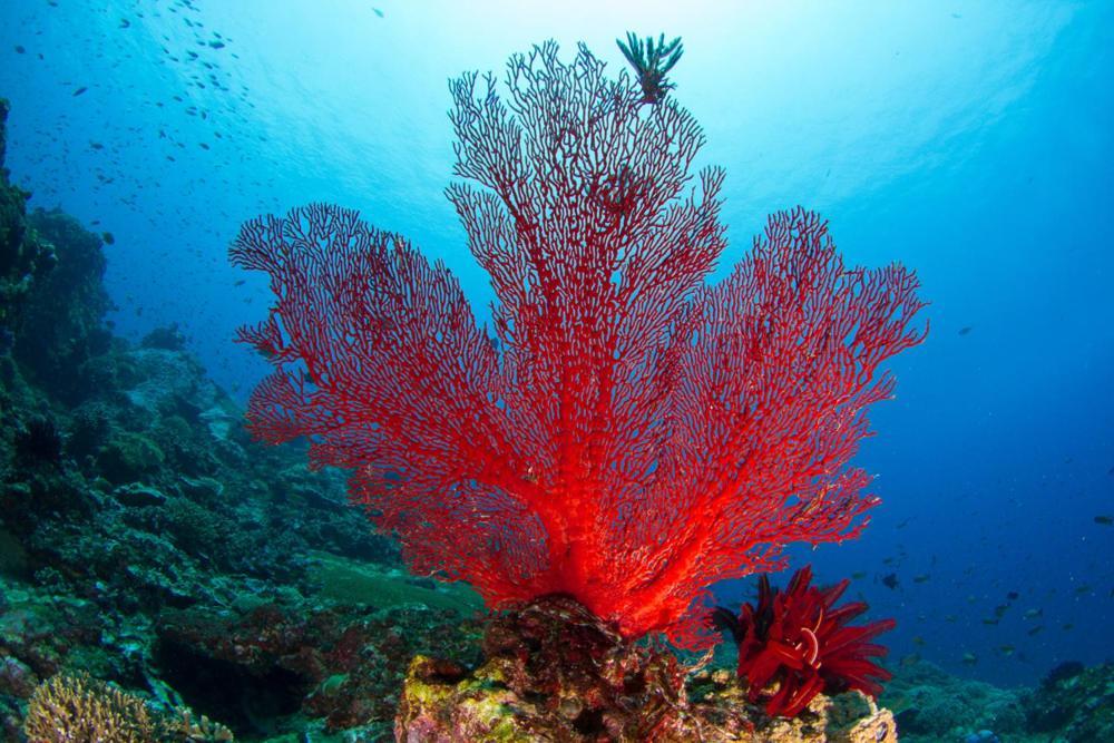 Adani Ksamil クサミル エクステリア 写真